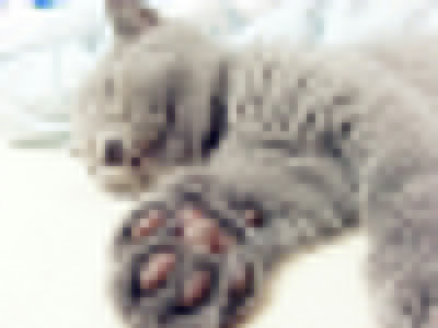 1484286251159979.jpg roudian3.jpg